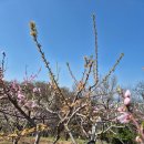 산너머그집 이미지