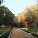 죽림5로 이미지