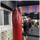 대한 권투 체육관 이미지