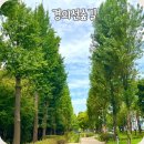 구덕산책로 숲길 | 서울 홍대 데이트코스 경의선숲길 산책로 연트럴파크 가는 길