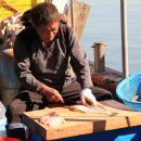 바다나루 이미지