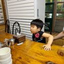 밤실 | 내돈내산 광주 육회비빔밥 맛집 솔직후기, 북구 밤실마을식당(주차불편 감수)