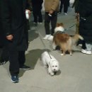 지축2호 어린이공원(마루) 화장실 | [2025년 1월] 길고 길었던 설 명절 연휴 기록