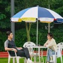 드림고고