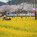 상맹방1리마을회관 이미지