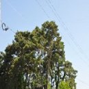 전영상선생 기적비 이미지