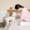 놀이터 반려견 미용실 이미지