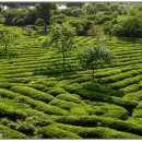 슬로슬로 이미지