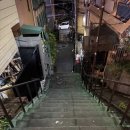ARC(아크) | 롯폰기 미드타운 야간 벚꽃 아크브릿지 산책 후기