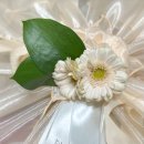 주정차63 | [리프룻] 부산 과일 선물세트 양가 부모님 첫인사 과일바구니 선물 내돈내산 솔직후기