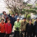 충북온천 이미지