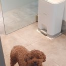 은마로동물병원 이미지