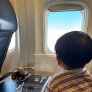 노형호수 | 서쪽 여행 코스 / 노형수퍼마켙, 테지움, 새별 프렌즈...카멜리아 힐/ 알찬 제주도 여행 1일차 후기