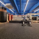태태복싱 GYM 이미지