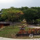 금대에코힐링캠핑장(주차장) 이미지