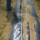 정식농장 이미지