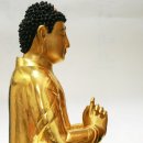 평창 월정사 중대 사자암 목조비로자나불좌상 이미지