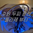 어뮤즈스파 | 「수원」 광교 두피 헤드테라피 추천 여름철 두피 노폐물 관리 ‘플라제 뷰티’
