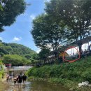 장흥식당 | 아이랑 장흥 계곡 폭포수식당 후기 내돈내산