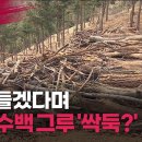 [2023.3.14] 숲 만들겠다며 나무 수백 그루 &#39;싹둑?&#39; 헬로티비 뉴스 이미지