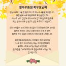 셀파우등생교실 이미지