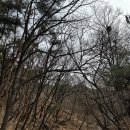 상계중학교정문 이미지