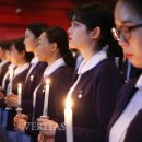 안녕 나이팅게일 이미지