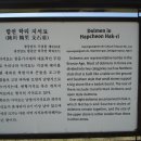 나의 고향 지석묘 학남 초등학교 이미지