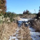 남원읍-44 이미지