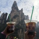 황룡농협 | 12월 부산 출발 장가계 패키지 후기