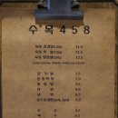 수목458 이미지