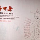 부적보건지소 | 고궁박물원 의약도서 특별전 / 故宮博物院 : 壽而康 院藏醫藥圖書文物特展