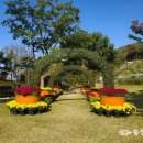 영인산자연휴양림 이미지