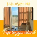 시부모님 아이 함께 제주도 동부 여행 : 휘닉스 아일랜드 제주 부대시설 정보 레드동 C동 517호 룸컨디션