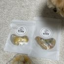 댕가앤쿡 이미지