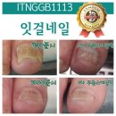 잇걸네일 네이버블로그