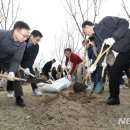 희망나무심기6 이미지