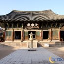 황금복돼지 이미지
