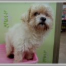 군포중학교 이미지