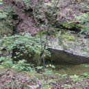 수비별빛캠핑장 이미지