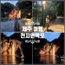 제주도 서귀포 가볼만한곳 제주 여행 후기 천지연폭포 야간 개장 시간