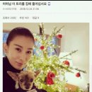 동경통닭 네이버블로그