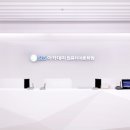 분당서현꽃