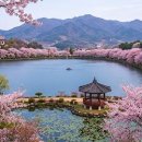 성간 위원회의 존경받는 지도자의 메시지 - 2026. 8. 8 이미지