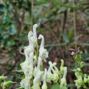 진범이네 농장 이미지