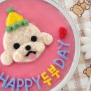 pit a pet (핏어펫) 이미지