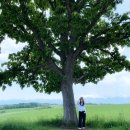 세븐스타PC카페 김해구산점 | 일본 삿포로 3박 4일 여행 DAY 0(항공권, 숙소, ESIM, 여행자 보험, 비에이 투어)