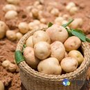 좋은가정의학과의원 이미지