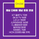 구제 옷 쇼핑으로 &lt;지구를 지켜츄&gt; (feat. 유튜버 free지아)