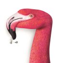 시그니아 보청기 서대문센타 이미지